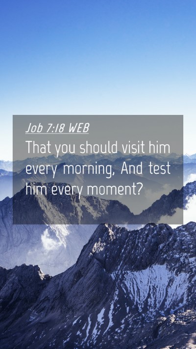 Picture 04 - Job 7:18 WEB Mobile Phone Wallpaper - That you should visit him every morning, And test - Mobile Bible Verse Wallpaper