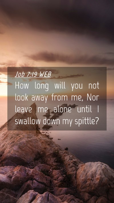 Picture 04 - Job 7:19 WEB Mobile Phone Wallpaper - How long will you not look away from me, Nor - Mobile Bible Verse Wallpaper