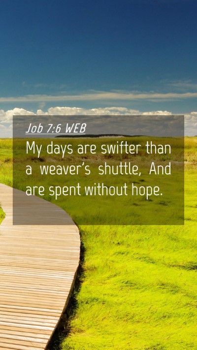 Picture 04 - Job 7:6 WEB Mobile Phone Wallpaper - My days are swifter than a weaver's shuttle, And - Mobile Bible Verse Wallpaper