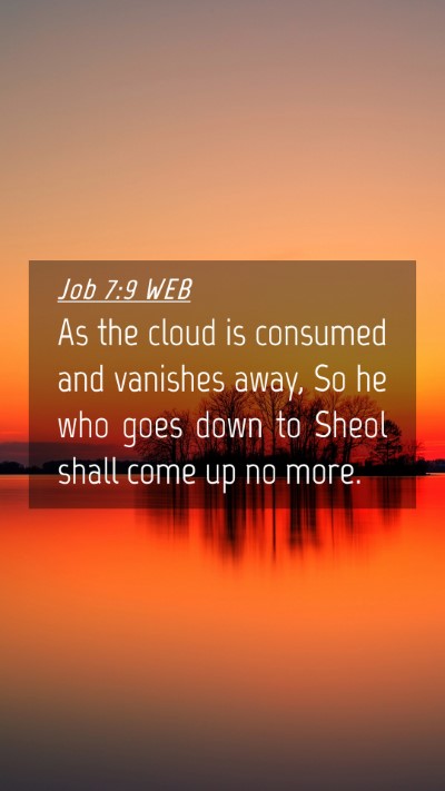 Picture 04 - Job 7:9 WEB Mobile Phone Wallpaper - As the cloud is consumed and vanishes away, So he - Mobile Bible Verse Wallpaper