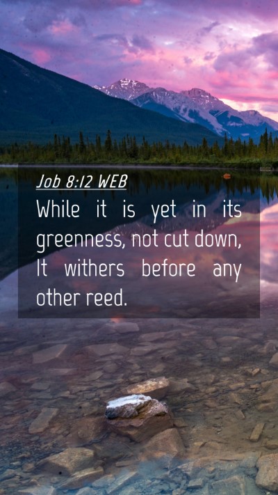 Picture 04 - Job 8:12 WEB Mobile Phone Wallpaper - While it is yet in its greenness, not cut down, - Mobile Bible Verse Wallpaper