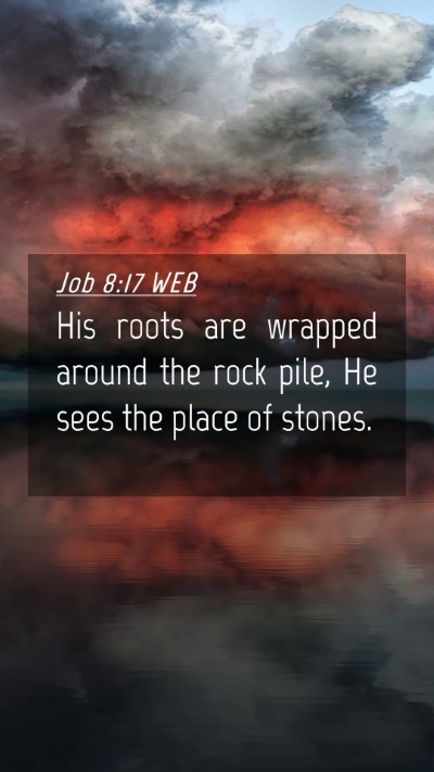 Picture 04 - Job 8:17 WEB Mobile Phone Wallpaper - His roots are wrapped around the rock pile, He - Mobile Bible Verse Wallpaper