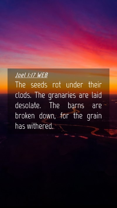 Picture 04 - Joel 1:17 WEB Mobile Phone Wallpaper - The seeds rot under their clods. The granaries - Mobile Bible Verse Wallpaper