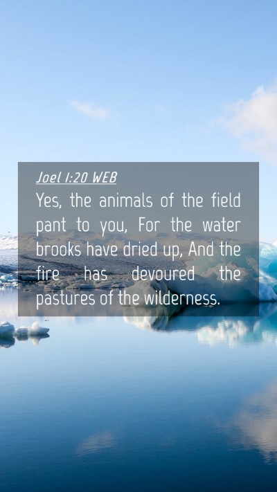 Picture 04 - Joel 1:20 WEB Mobile Phone Wallpaper - Yes, the animals of the field pant to you, For - Mobile Bible Verse Wallpaper