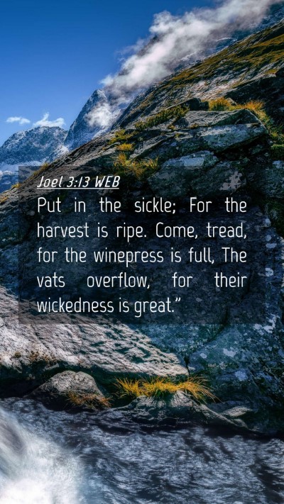 Picture 04 - Joel 3:13 WEB Mobile Phone Wallpaper - Put in the sickle; For the harvest is ripe. Come, - Mobile Bible Verse Wallpaper