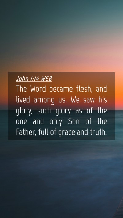 Picture 04 - John 1:14 WEB Mobile Phone Wallpaper - The Word became flesh, and lived among us. We saw - Mobile Bible Verse Wallpaper