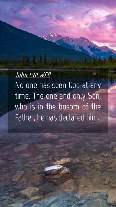 Picture 04 - John 1:18 WEB Mobile Phone Wallpaper - No one has seen God at any time. The one and only - Mobile Bible Verse Wallpaper