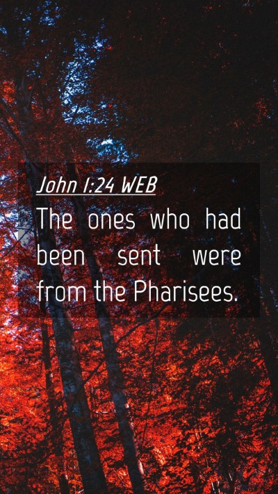 Picture 04 - John 1:24 WEB Mobile Phone Wallpaper - The ones who had been sent were from the - Mobile Bible Verse Wallpaper