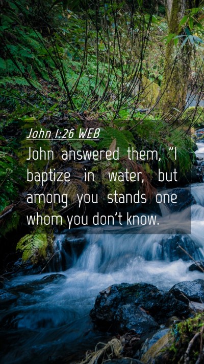 Picture 04 - John 1:26 WEB Mobile Phone Wallpaper - John answered them, 