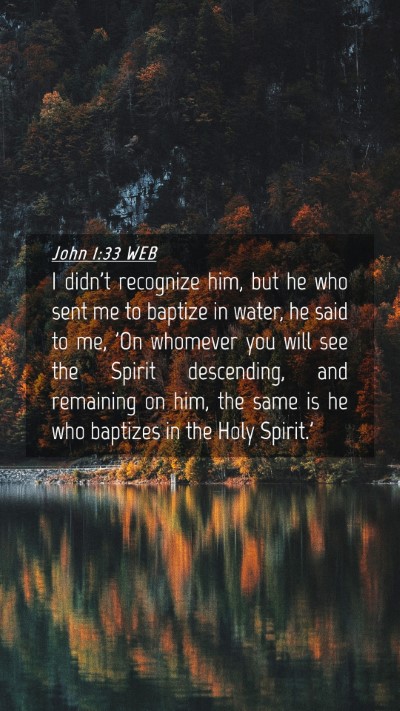 Picture 04 - John 1:33 WEB Mobile Phone Wallpaper - I didn't recognize him, but he who sent me to - Mobile Bible Verse Wallpaper