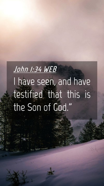 Picture 04 - John 1:34 WEB Mobile Phone Wallpaper - I have seen, and have testified that this is the - Mobile Bible Verse Wallpaper
