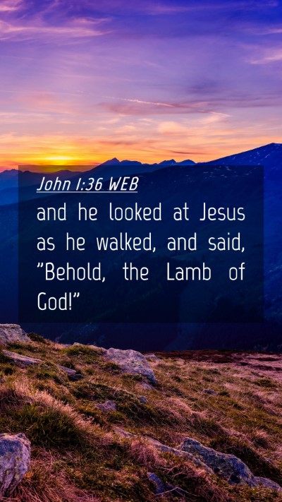Picture 04 - John 1:36 WEB Mobile Phone Wallpaper - and he looked at Jesus as he walked, and said, - Mobile Bible Verse Wallpaper