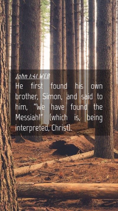 Picture 04 - John 1:41 WEB Mobile Phone Wallpaper - He first found his own brother, Simon, and said - Mobile Bible Verse Wallpaper