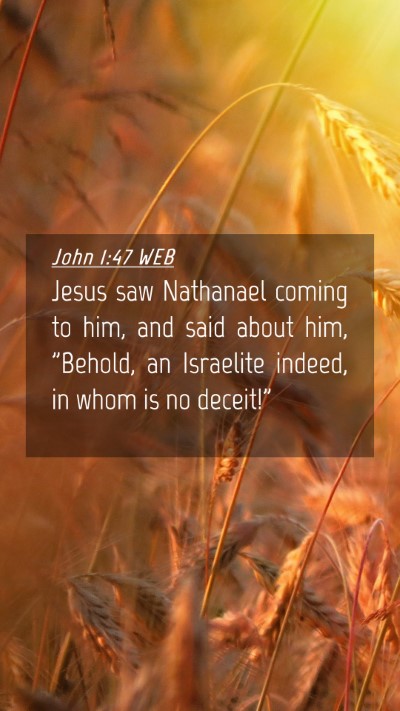 Picture 04 - John 1:47 WEB Mobile Phone Wallpaper - Jesus saw Nathanael coming to him, and said about - Mobile Bible Verse Wallpaper
