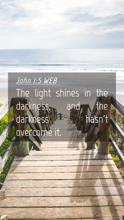 Picture 04 - John 1:5 WEB Mobile Phone Wallpaper - The light shines in the darkness, and the - Mobile Bible Verse Wallpaper
