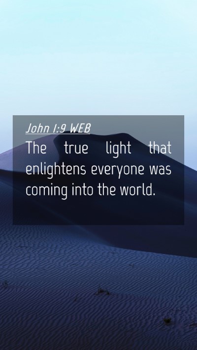 Picture 04 - John 1:9 WEB Mobile Phone Wallpaper - The true light that enlightens everyone was - Mobile Bible Verse Wallpaper