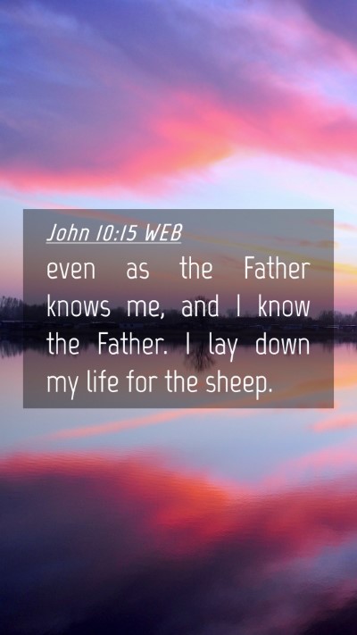 Picture 04 - John 10:15 WEB Mobile Phone Wallpaper - even as the Father knows me, and I know the - Mobile Bible Verse Wallpaper