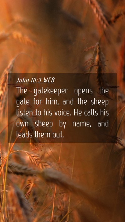 Picture 04 - John 10:3 WEB Mobile Phone Wallpaper - The gatekeeper opens the gate for him, and the - Mobile Bible Verse Wallpaper