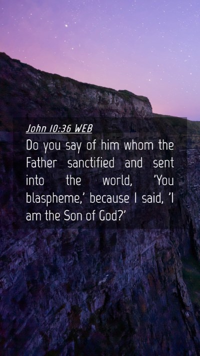 Picture 04 - John 10:36 WEB Mobile Phone Wallpaper - Do you say of him whom the Father sanctified and - Mobile Bible Verse Wallpaper