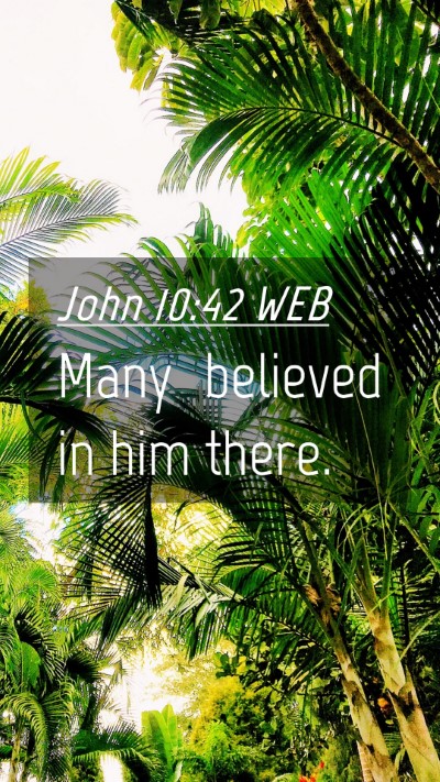 Picture 04 - John 10:42 WEB Mobile Phone Wallpaper - Many believed in him - Mobile Bible Verse Wallpaper