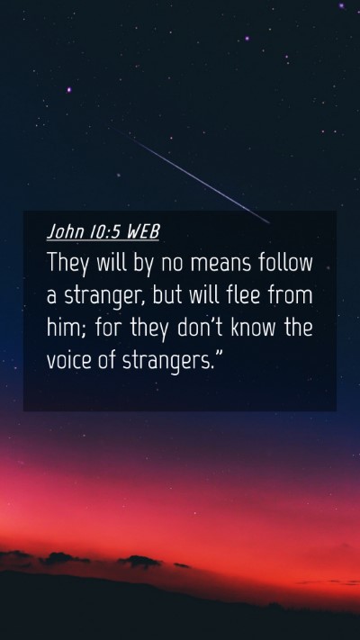 Picture 04 - John 10:5 WEB Mobile Phone Wallpaper - They will by no means follow a stranger, but will - Mobile Bible Verse Wallpaper