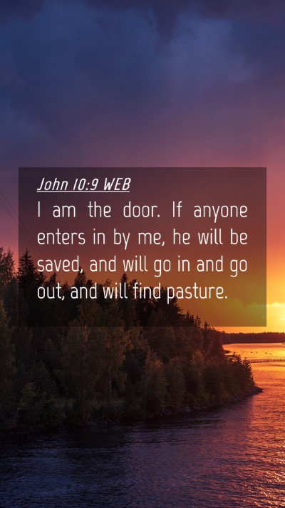 Picture 04 - John 10:9 WEB Mobile Phone Wallpaper - I am the door. If anyone enters in by me, he will - Mobile Bible Verse Wallpaper