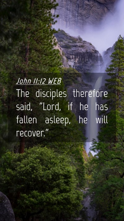 Picture 04 - John 11:12 WEB Mobile Phone Wallpaper - The disciples therefore said, 