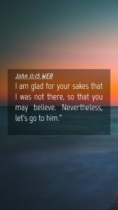 Picture 04 - John 11:15 WEB Mobile Phone Wallpaper - I am glad for your sakes that I was not there, so - Mobile Bible Verse Wallpaper