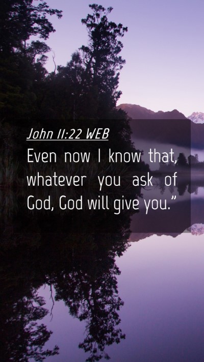 Picture 04 - John 11:22 WEB Mobile Phone Wallpaper - Even now I know that, whatever you ask of God, - Mobile Bible Verse Wallpaper