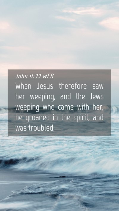 Picture 04 - John 11:33 WEB Mobile Phone Wallpaper - When Jesus therefore saw her weeping, and the - Mobile Bible Verse Wallpaper
