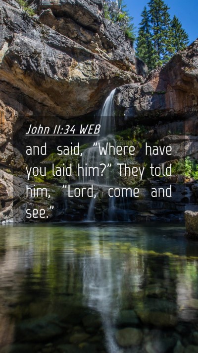 Picture 04 - John 11:34 WEB Mobile Phone Wallpaper - and said, 