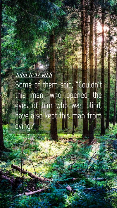 Picture 04 - John 11:37 WEB Mobile Phone Wallpaper - Some of them said, 