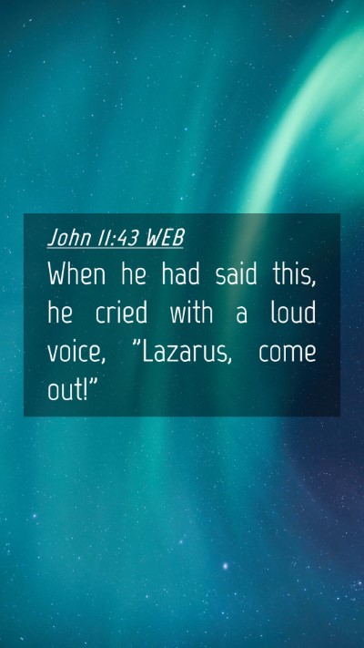 Picture 04 - John 11:43 WEB Mobile Phone Wallpaper - When he had said this, he cried with a loud - Mobile Bible Verse Wallpaper