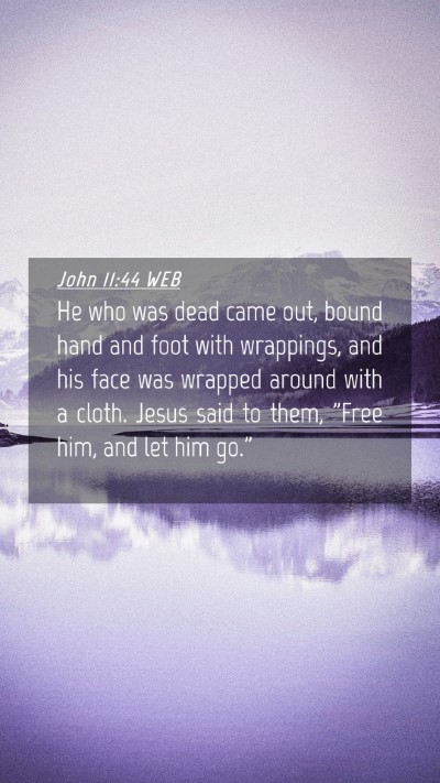 Picture 04 - John 11:44 WEB Mobile Phone Wallpaper - He who was dead came out, bound hand and foot - Mobile Bible Verse Wallpaper
