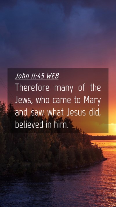 Picture 04 - John 11:45 WEB Mobile Phone Wallpaper - Therefore many of the Jews, who came to Mary and - Mobile Bible Verse Wallpaper