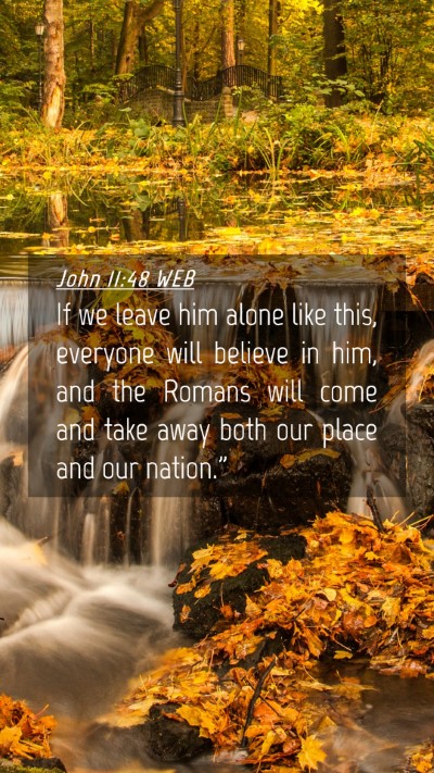 Picture 04 - John 11:48 WEB Mobile Phone Wallpaper - If we leave him alone like this, everyone will - Mobile Bible Verse Wallpaper