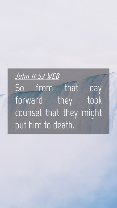 Picture 04 - John 11:53 WEB Mobile Phone Wallpaper - So from that day forward they took counsel that - Mobile Bible Verse Wallpaper