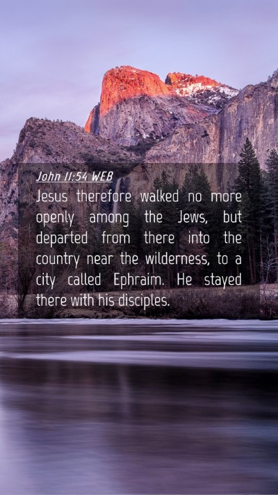 Picture 04 - John 11:54 WEB Mobile Phone Wallpaper - Jesus therefore walked no more openly among the - Mobile Bible Verse Wallpaper