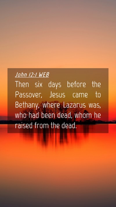 Picture 04 - John 12:1 WEB Mobile Phone Wallpaper - Then six days before the Passover, Jesus came to - Mobile Bible Verse Wallpaper