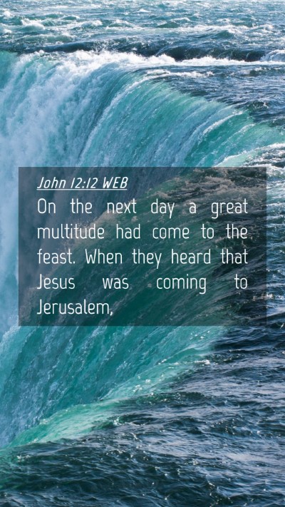 Picture 04 - John 12:12 WEB Mobile Phone Wallpaper - On the next day a great multitude had come to the - Mobile Bible Verse Wallpaper