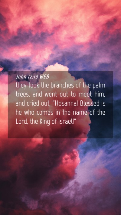 Picture 04 - John 12:13 WEB Mobile Phone Wallpaper - they took the branches of the palm trees, and - Mobile Bible Verse Wallpaper