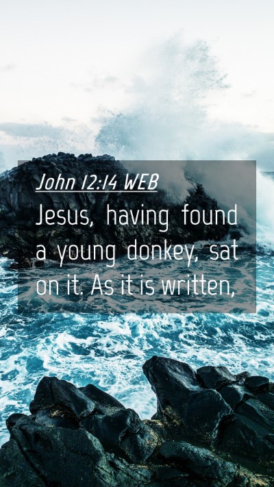 Picture 04 - John 12:14 WEB Mobile Phone Wallpaper - Jesus, having found a young donkey, sat on it. As - Mobile Bible Verse Wallpaper