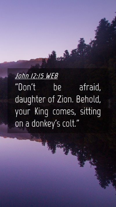 Picture 04 - John 12:15 WEB Mobile Phone Wallpaper - 
