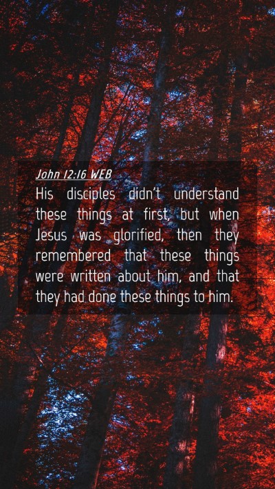 Picture 04 - John 12:16 WEB Mobile Phone Wallpaper - His disciples didn't understand these things at - Mobile Bible Verse Wallpaper