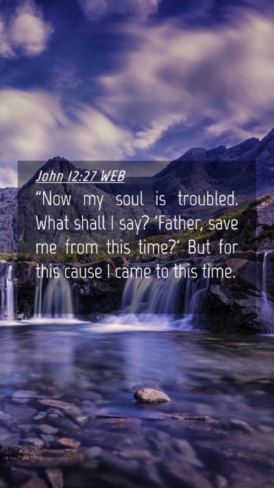 Picture 04 - John 12:27 WEB Mobile Phone Wallpaper - 