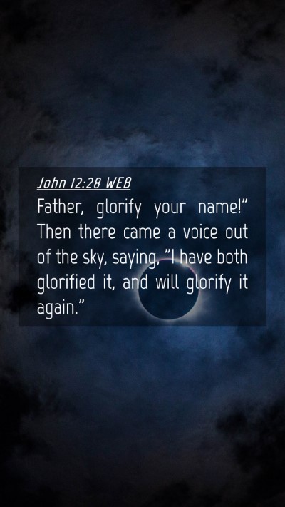 Picture 04 - John 12:28 WEB Mobile Phone Wallpaper - Father, glorify your name!