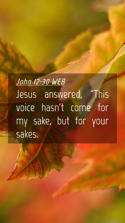 Picture 04 - John 12:30 WEB Mobile Phone Wallpaper - Jesus answered, 