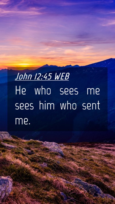 Picture 04 - John 12:45 WEB Mobile Phone Wallpaper - He who sees me sees him who sent - Mobile Bible Verse Wallpaper