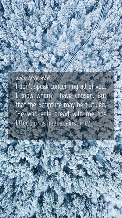 Picture 04 - John 13:18 WEB Mobile Phone Wallpaper - I don't speak concerning all of you. I know whom - Mobile Bible Verse Wallpaper