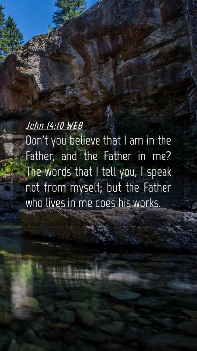 Picture 04 - John 14:10 WEB Mobile Phone Wallpaper - Don't you believe that I am in the Father, and - Mobile Bible Verse Wallpaper
